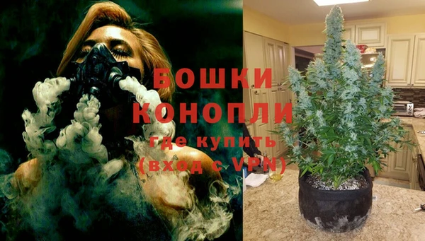 прущие грибы Мещовск