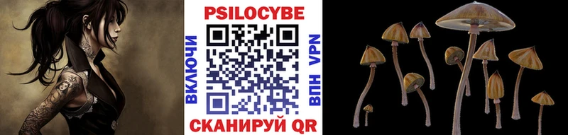 Псилоцибиновые грибы мицелий Сибай