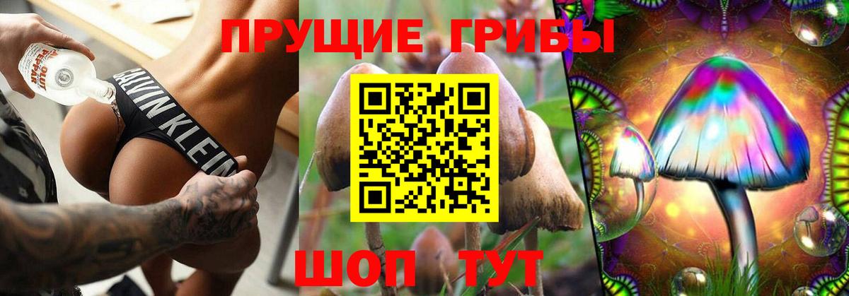 Псилоцибиновые грибы MAGIC MUSHROOMS  Вход с VPN  Сибай 